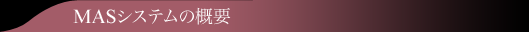MASシステムの概要