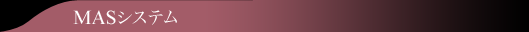 MASシステム